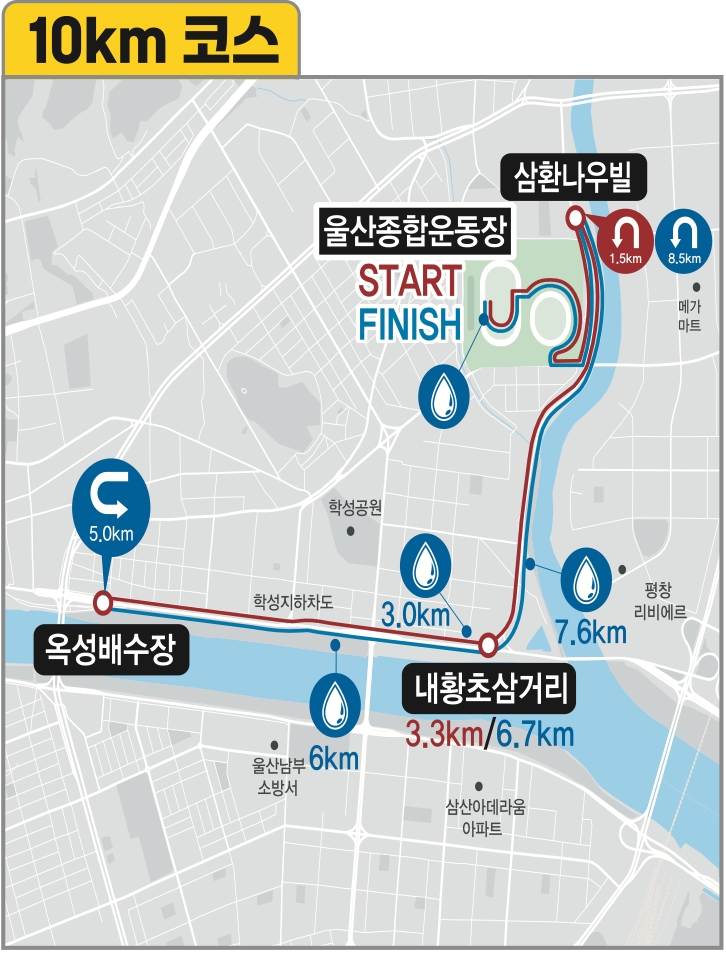 코스 배너