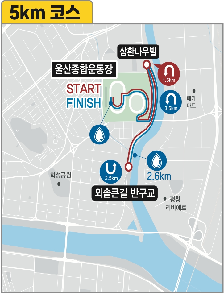 코스 배너